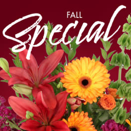 Fall Special text over red lilies and orange gerbera daisies on a burgundy background