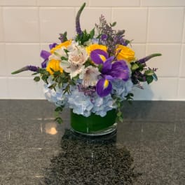 Spring Is In The Air