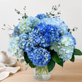 Blue hydrangea bouquet in a clear glass vase
