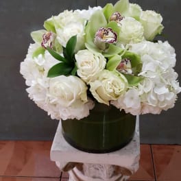 White and Green #3