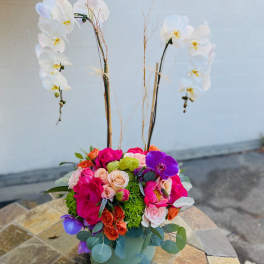 x2 Large Orchids with flowers and Peonies.