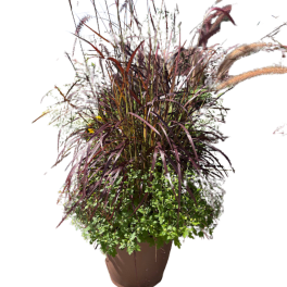 Tall ornamental grass arrangement in a brown planter