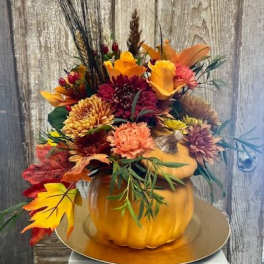 PUMPKIN PATCH