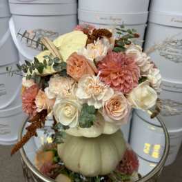 White pumpkin signature flowers
