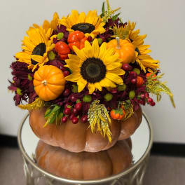 Pumpkin Signature Arrangement