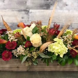 Autumn Grace