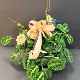 Green house plant with fresh or silk floral added