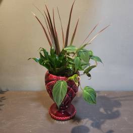 Potted green houseplant arrangement in a red decorative vase