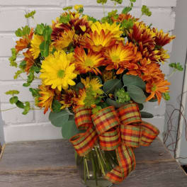 Fall Daisies