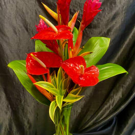 Tropical arrangement with red anthuriums and red-orange blooms in a glass vase