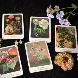 Flower-themed cards and small blossoms arranged on a dark surface