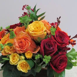 Autumn Expression