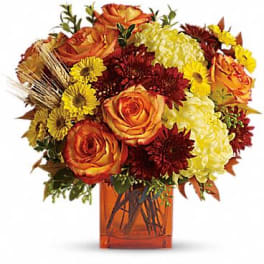 Expressions of Autumn