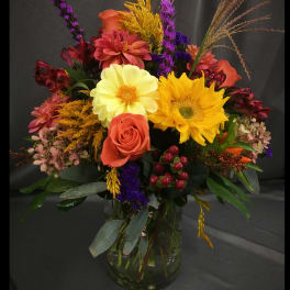 Fall Abundance