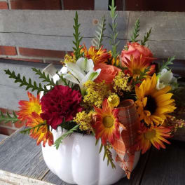 Autumn Pumpkin