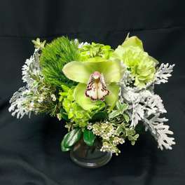Green orchid arrangement in a clear glass vase with white foliage accents