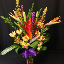 Heliconia Protea Eremurus Large Mix