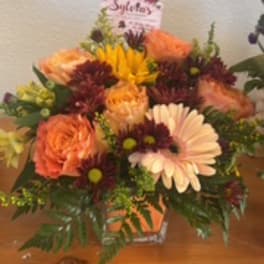 Mixed bouquet with peach roses, white daisies, and burgundy mums in a square vase