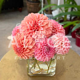 Pink and peach dahlias arranged in a clear square vase