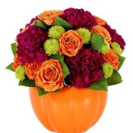 Orange and magenta flower arrangement in a pumpkin-shaped vase