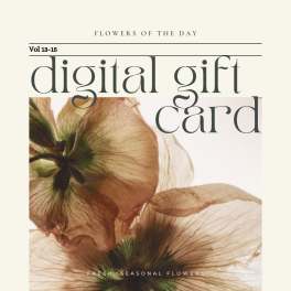 Digital gift card with close-up flowers and large text