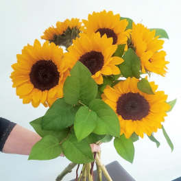 Bouquet of yellow sunflowers with green leaves