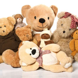 Assorted teddy bears arranged together on a white background