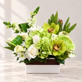 Green and white floral arrangement in a rectangular box with orchids, roses, and hydrangeas