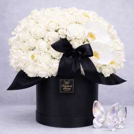 White roses and orchids in a black hat box with a black ribbon