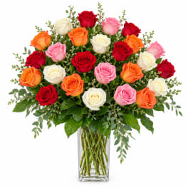 Mixed roses in red, pink, orange, and white in a clear glass vase