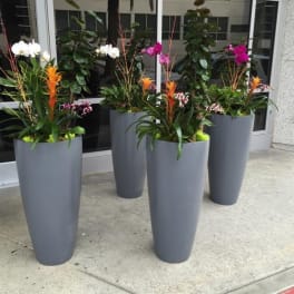 Tall orchid arrangements in gray planters outside a building entrance