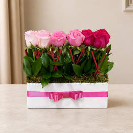 Pink and white roses arranged in a white box with a pink ribbon