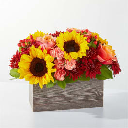 Sunflowers, pink roses, and red mums in a rectangular wood box