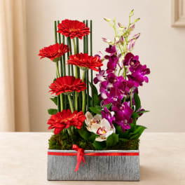 Red gerbera daisies and purple orchids in a silver rectangular planter