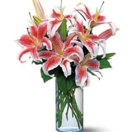 Bouquet of pink and white lilies in a clear glass vase