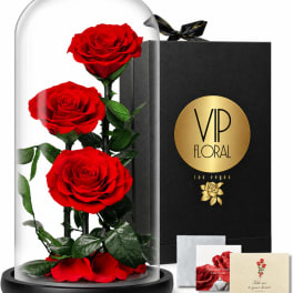 Three red roses under a glass dome beside a black gift box