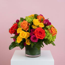 Summer Blooms 