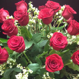 Roses Wrapped