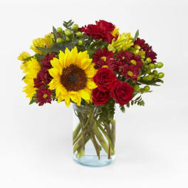 Bouquet of sunflowers, red roses, and burgundy daisies in a clear glass vase