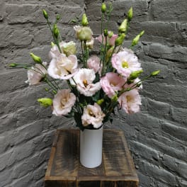 Pink and white lisianthus in a white vase