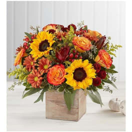 Autumn bouquet of sunflowers, roses, and daisies in a wooden box