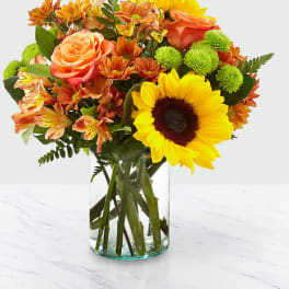 Autumn Splendor