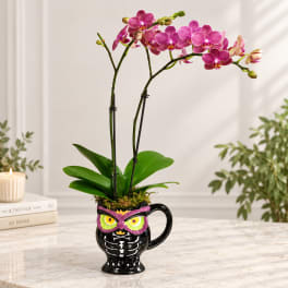 Pink orchids in a black owl-shaped mug on a tabletop