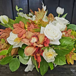 Harvest Moonflower