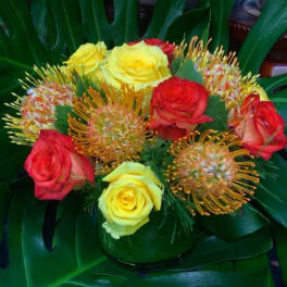 Pincushion Protea & Roses