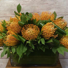 Dozen Protea
