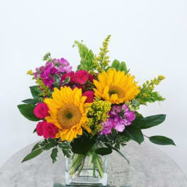 Flower Fields