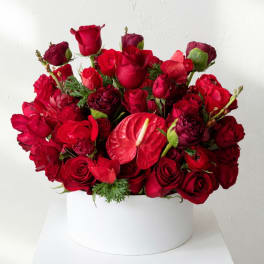Red rose arrangement in a white round box with an anthurium bloom