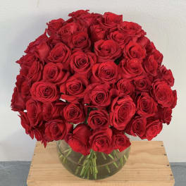 Roses