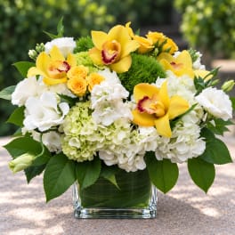 Yellow orchids and white hydrangeas in a glass vase